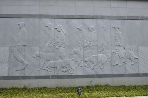 揭秘一只功勛緝毒警汪的退休生活